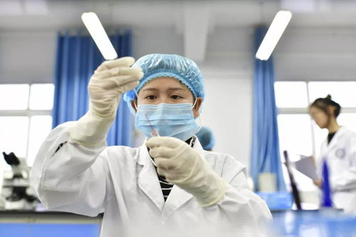 技能大賽循常規 檢驗學子展風采