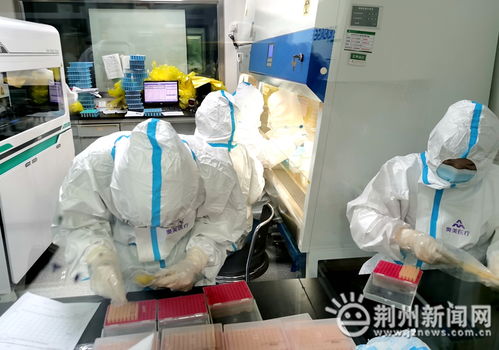 荊州市中心醫院醫學檢驗部質量管理彰顯“省級標桿”力量